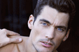 David Gandy(zhun)L